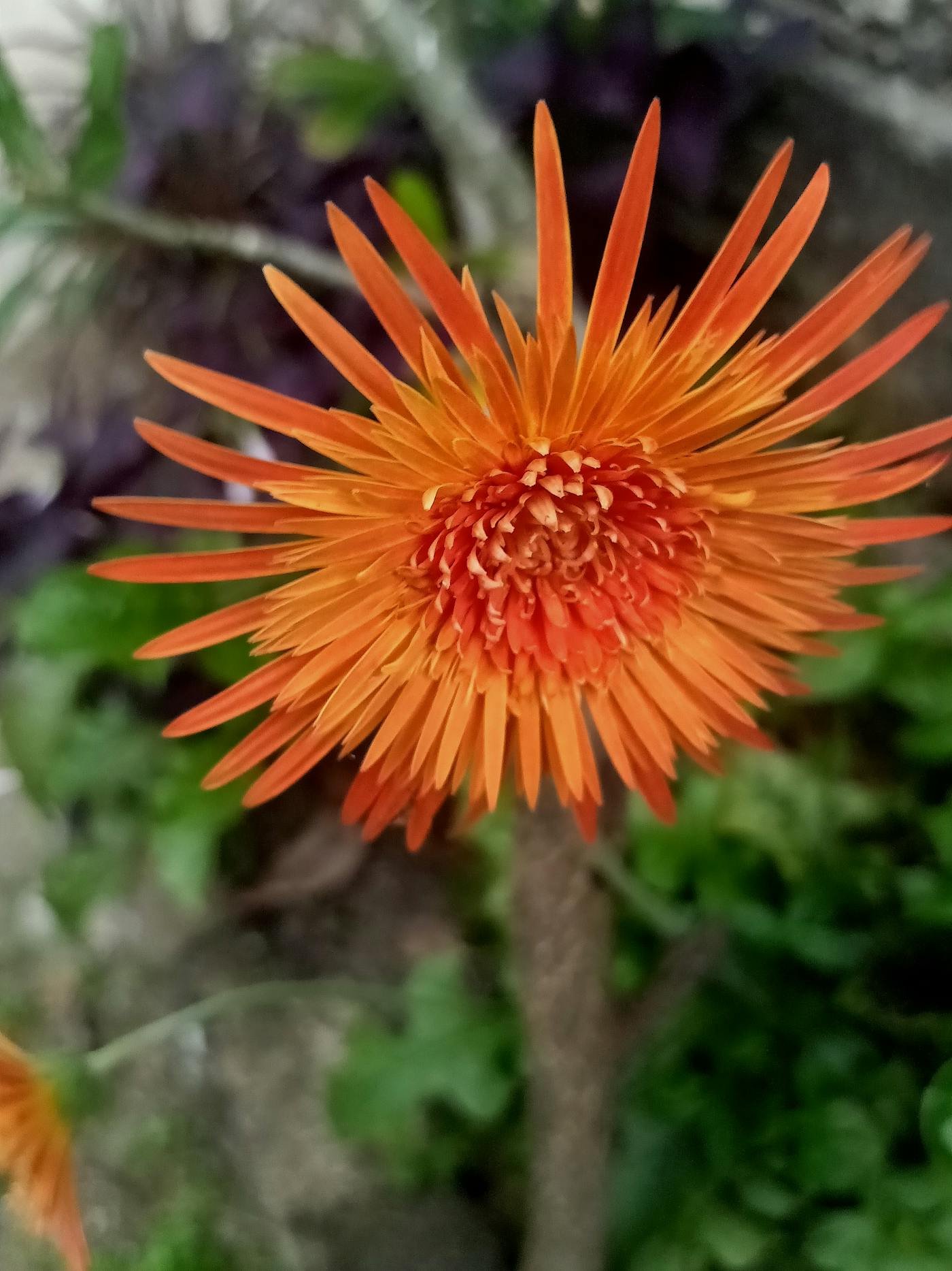 How to Choose the Best Dietitian Near Me in Hyderabad: A Practical 2026 Guide